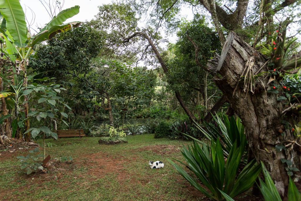 Guest house Tio Isolda Artes & *