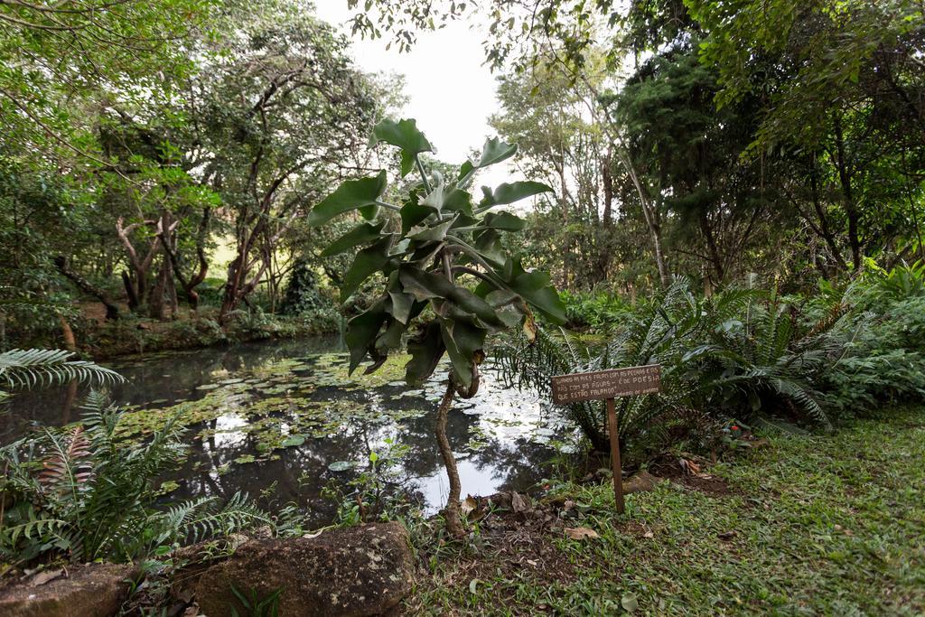Guest house Tio Isolda Artes & Casa Branca