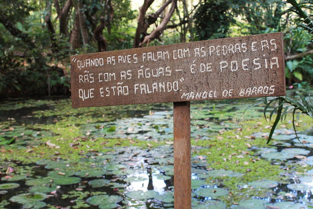 Tio Isolda Artes & Casa Branca